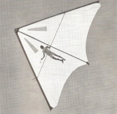 Hang glider : Brasil 1 ; Manufacturer : Steinbach