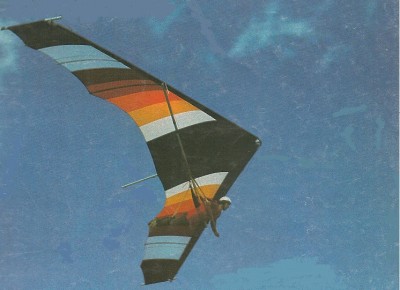 Hang glider : Cobra ; Manufacturer : Winds Wings