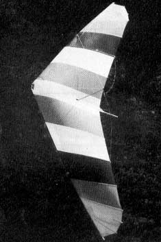 Hang glider : Dove ; Manufacturer : Electra Flyer