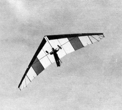 Hang glider : Edelweis ; Manufacturer : Noin