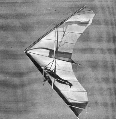 Hang glider : Fauconnet ; Manufacturer : Winds Wings