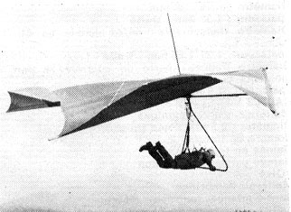 Hang glider : Firefly ; Manufacturer : Scot Kite