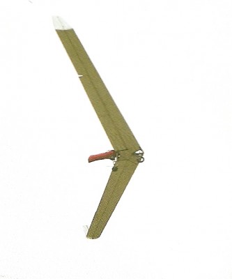 Hang glider : Flair30 ; Manufacturer : GNter Rochelt