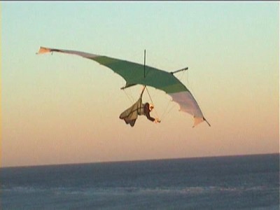 Hang glider : Gryphon B ; Manufacturer : Wasp