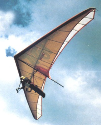Hang glider : Hornet ; Manufacturer : Delta Wing Tyrol