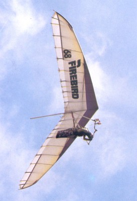 Hang glider : Laser ; Manufacturer : Firebird Sky Sport AG