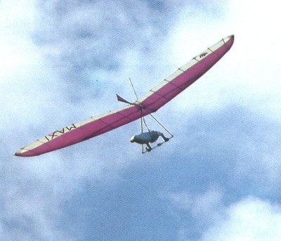 Hang glider : Maxi ; Manufacturer : Synairgie