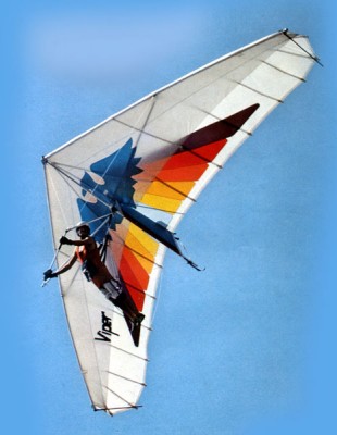 Hang glider : Phoenix Viper ; Manufacturer : Delta Wing Kites and Gliders