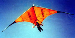 Hang glider : Phoenix ; Manufacturer : Delta Wing Kites and Gliders
