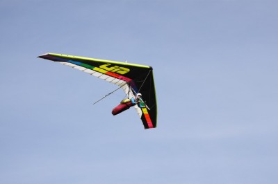 Hang glider : Predator ; Manufacturer : UP Ultralight Products