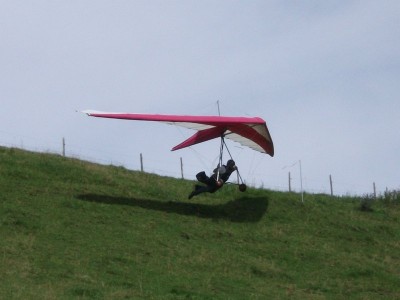 Hang glider : Quattro ; Manufacturer : Firebird Sky Sport AG