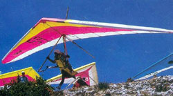 Hang glider : Racer ; Manufacturer : La Mouette
