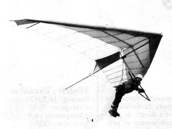 Hang glider : Rival ; Manufacturer : Delta Fulmar