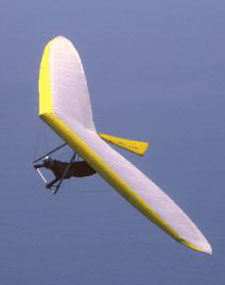 Hang glider : Sensor 610 Cf3 ; Manufacturer : Seedwings (Usa)