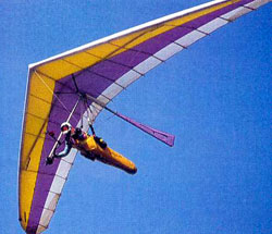 Hang glider : Sensor 610 ; Manufacturer : Seedwings (Usa)