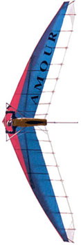 Hang glider : Amour ; Manufacturer : Avian Hang Gliders