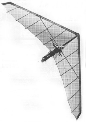 Hang glider : Asg 21 ; Manufacturer : Albatross Sails