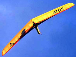 Hang glider : Atos ; Manufacturer : A.I.R -Aeronautic Innovation Rühle-