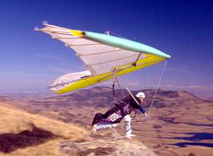 Hang glider : Buzz ; Manufacturer : Airborne