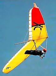 Hang glider : Cross Country (Xc) ; Manufacturer : Wills Wing