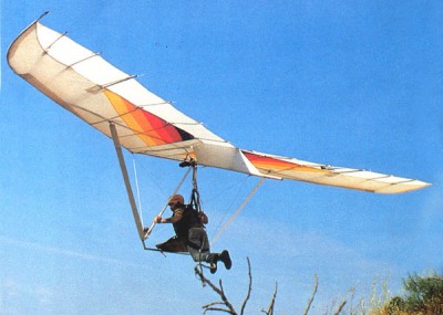 Hang glider  Dawn