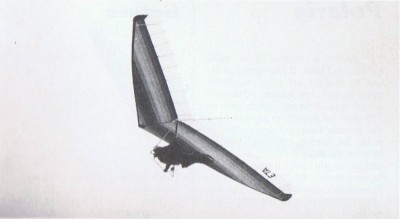 Hang glider : Eta ; Manufacturer : Orion Delta