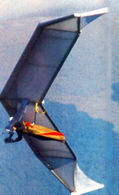 Hang glider : Flair ; Manufacturer : GNter Rochelt