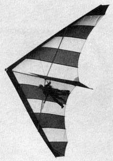 Hang glider : Toucan ; Manufacturer : Pacific Wings